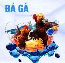 cockfight-banner