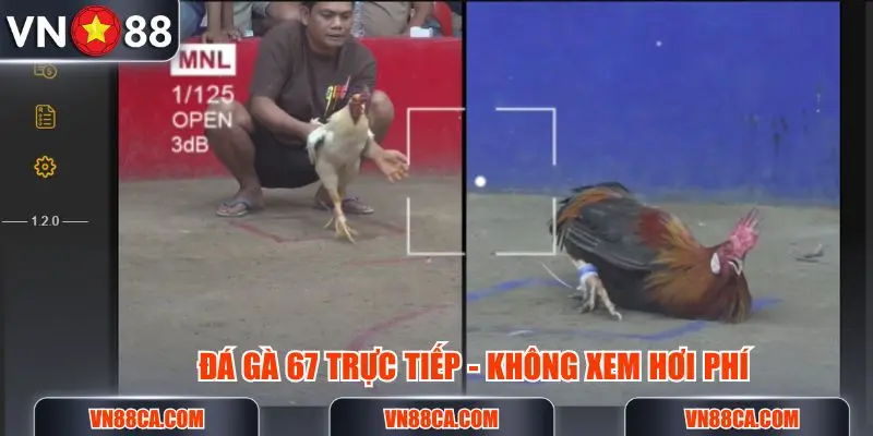 da-ga-67-truc-tiep